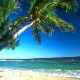 Photo Backgrounds