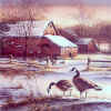 Winter Farm