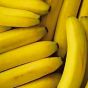 Bananas