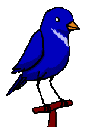 Blue_Bird_t1