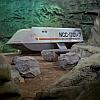 USS_Enterprise_shuttlecraft-Galileo